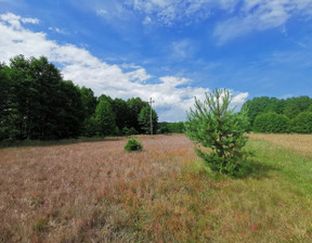 Działka na sprzedaż, nowotomyski Nowy Tomyśl Szarki, 449 000 zł, 10 378 m2, 1539045075