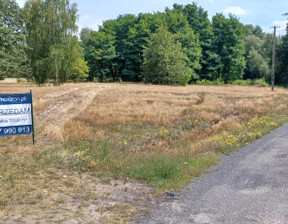 Działka na sprzedaż, piotrkowski Gorzkowice GORZKOWICE-KOLONIA BUJNICZKI KOPANINA, 105 000 zł, 3000 m2, 1539590392