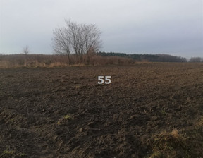 Działka na sprzedaż, Łódzki Wschodni Koluszki Jeziorko, 399 150 zł, 8870 m2, R55-GS-11079-60