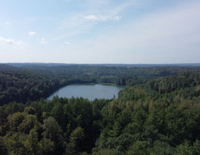 Działka na sprzedaż, Ostródzki (Pow.), 2 500 000 zł, 24 000 m2, 86