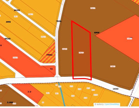 Działka na sprzedaż, Kutnowski Kutno Kościuszków, 3 800 000 zł, 17 282 m2, CEN-GS-7815