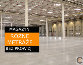 Magazyn do wynajęcia, Rzeszów M. Rzeszów, 47 500 zł, 2500 m2, CCN-HW-3336