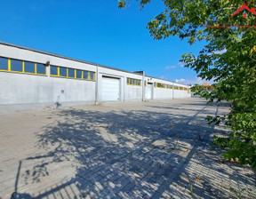 Magazyn, hala do wynajęcia, Toruń Mokre, 17 500 zł, 1000 m2, 64/4957/OHW