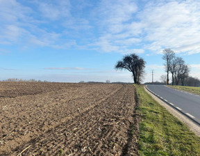 Działka na sprzedaż, Poznański Tarnowo Podgórne Lusówko, 5 100 000 zł, 81 000 m2, 25/S/DW/1