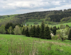 Działka na sprzedaż, Wałbrzyski Walim Michałkowa Wiejska, 398 000 zł, 6608 m2, 364184