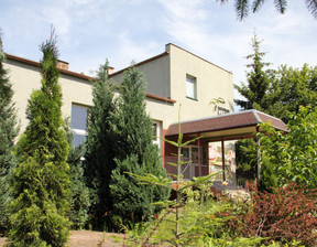 Lokal do wynajęcia, Międzyrzecki Międzyrzecz Chopina, 8990 zł, 439,5 m2, 995/6207/OLW