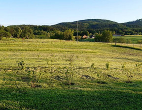 Działka na sprzedaż, Strzyżowski Wiśniowa Markuszowa, 5 000 000 zł, 30 000 m2, 40737/3186/OGS