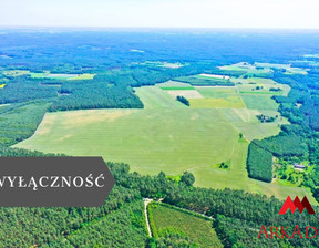 Działka na sprzedaż, Lipnowski Bobrowniki, 11 600 000 zł, 237 901 m2, ARK-GS-4886