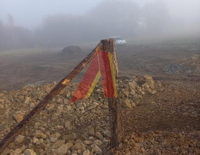 Przemysłowy na sprzedaż, Krakowski Liszki Cholerzyn, 1 200 000 zł, 2400 m2, 205112