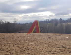 Działka na sprzedaż, Krakowski Mogilany Libertów Libertów, 2 550 000 zł, 24 400 m2, 203486