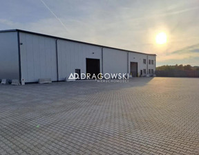 Magazyn, hala do wynajęcia, Pruszkowski Nadarzyn Wolica, 40 000 zł, 1200 m2, 211/4790/OOW