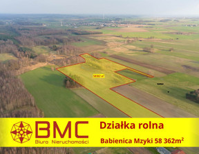 Działka na sprzedaż, Babienica Mzyki, 350 000 zł, 58 362 m2, 615622