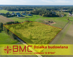 Budowlany na sprzedaż, Pawonków Lisowice Dolna, 746 634 zł, 12 873 m2, 411757