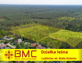 Działka na sprzedaż, Lubliniec Biała Kolonia, 380 000 zł, 33 003 m2, 455793