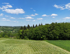 Działka na sprzedaż, Tarnowski (pow.) Pleśna (gm.) Lichwin, 119 000 zł, 1750 m2, 10/05/2024-1