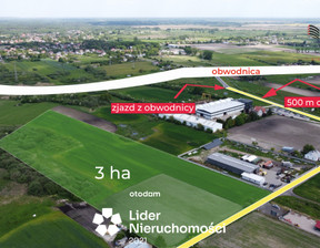 Handlowo-usługowy na sprzedaż, Chełm Okszówek, 1 200 000 zł, 10 000 m2, 780143