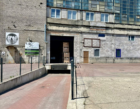 Magazyn, hala do wynajęcia, Łódź Bałuty Teofilów Wersalska, 14 250 zł, 750 m2, 172