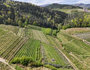 Działka na sprzedaż, Nowosądecki Łącko Czarny Potok, 85 000 zł, 4500 m2, KN791719