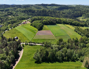 Działka na sprzedaż, Nowosądecki Gródek Nad Dunajcem Podole-Górowa, 205 000 zł, 4000 m2, KN440009