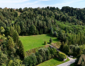 Działka na sprzedaż, Nowosądecki Stary Sącz Myślec, 850 000 zł, 5940 m2, KN284192