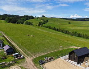 Działka na sprzedaż, Nowosądecki Krynica-Zdrój Mochnaczka Niżna, 270 000 zł, 3003 m2, KN500562