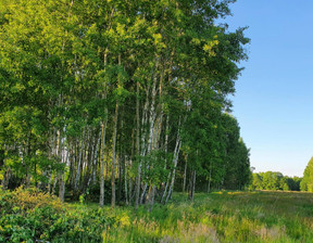 Działka na sprzedaż, Otwocki Wiązowna Kąck, 239 000 zł, 1200 m2, 164