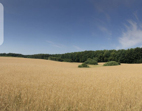 Działka na sprzedaż, Starogardzki Skarszewy Kamierowskie Piece Trzcianka, 712 500 zł, 28 500 m2, 346899