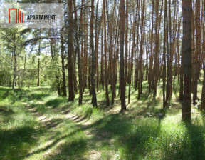 Leśne na sprzedaż, Żniński Gąsawa Drewno, 565 000 zł, 102 300 m2, 111136