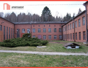 Fabryka, zakład na sprzedaż, Złotoryjski Złotoryja Wilków Dworcowa, 2 130 000 zł, 4269 m2, 567280