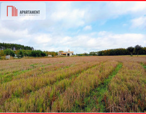 Działka na sprzedaż, Świecki Bukowiec Branica, 420 000 zł, 5600 m2, 244682