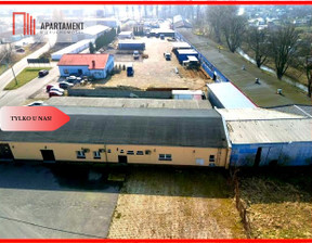 Magazyn na sprzedaż, Malborski Malbork Piaski, 999 000 zł, 460 m2, 751588