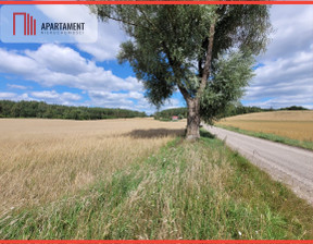 Działka na sprzedaż, Kościerski Kościerzyna Skorzewo, 139 000 zł, 3000 m2, 147693