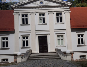 Dom na sprzedaż, Trzebnicki Oborniki Śląskie, 12 500 000 zł, 700 m2, 256412