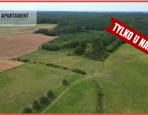 Działka na sprzedaż, Tczewski Gniew Opalenie, 310 000 zł, 46 700 m2, 160688