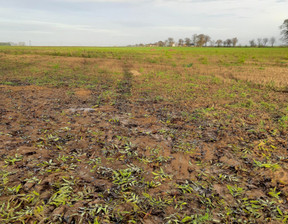 Działka na sprzedaż, Żniński Żnin Jaroszewo, 110 500 zł, 1300 m2, 111162