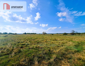 Działka na sprzedaż, Lęborski Wicko Szczenurze, 210 000 zł, 10 000 m2, 105950