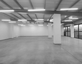 Lokal do wynajęcia, Warszawa Wawer Warszawa Wawer, 28 000 zł, 650 m2, A-D703545