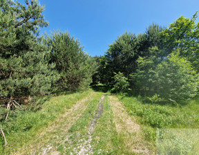 Rolny na sprzedaż, Radomszczański Kamieńsk Wojska Polskiego, 190 000 zł, 12 746 m2, 621