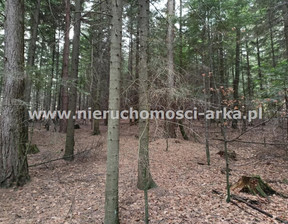Leśne na sprzedaż, Limanowski Jodłownik Pogorzany, 25 000 zł, 2900 m2, ARK-GS-18205
