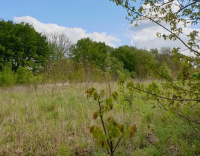 Budowlany na sprzedaż, Gryfiński Gryfino Wełtyń POLNA, 583 000 zł, 7288 m2, ARD00408