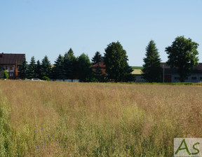 Działka na sprzedaż, Krakowski (Pow.) Iwanowice (Gm.) Poskwitów, 199 000 zł, 3009 m2, 358