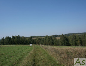 Budowlany na sprzedaż, Krakowski (pow.) Zabierzów (gm.) Zelków, 500 000 zł, 2000 m2, 353