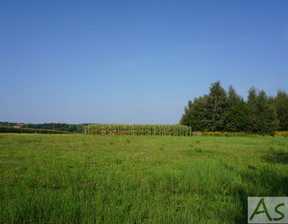 Działka na sprzedaż, Krakowski (pow.) Zabierzów (gm.) Zelków, 450 000 zł, 2008 m2, 360