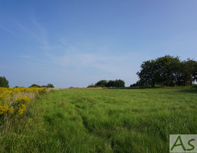 Działka na sprzedaż, Krakowski (pow.) Zabierzów (gm.) Zelków, 720 000 zł, 2400 m2, 304