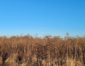 Działka na sprzedaż, Krakowski (pow.) Zabierzów (gm.) Bolechowice, 300 000 zł, 710 m2, 375