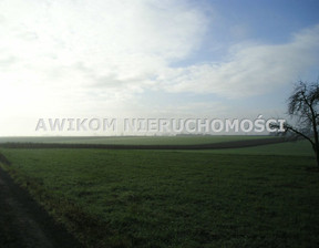 Działka na sprzedaż, Skierniewicki Nowy Kawęczyn, 110 000 zł, 4400 m2, AKM-GS-51222-10