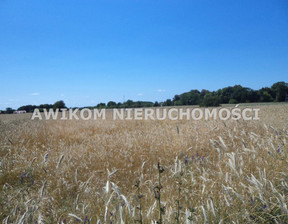 Rolny na sprzedaż, Grodziski Żabia Wola Zaręby, 530 000 zł, 11 700 m2, AKM-GS-45534-32