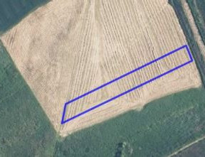 Rolny na sprzedaż, Zamojski (Pow.) Miączyn (Gm.) Świdniki, 3675 zł, 3600 m2, 176