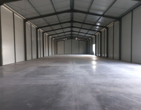 Hala do wynajęcia, Wrocław Psie Pole, 33 000 zł, 1000 m2, 3050358