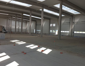 Hala do wynajęcia, Wrocław Fabryczna, 60 000 zł, 2000 m2, 5250358